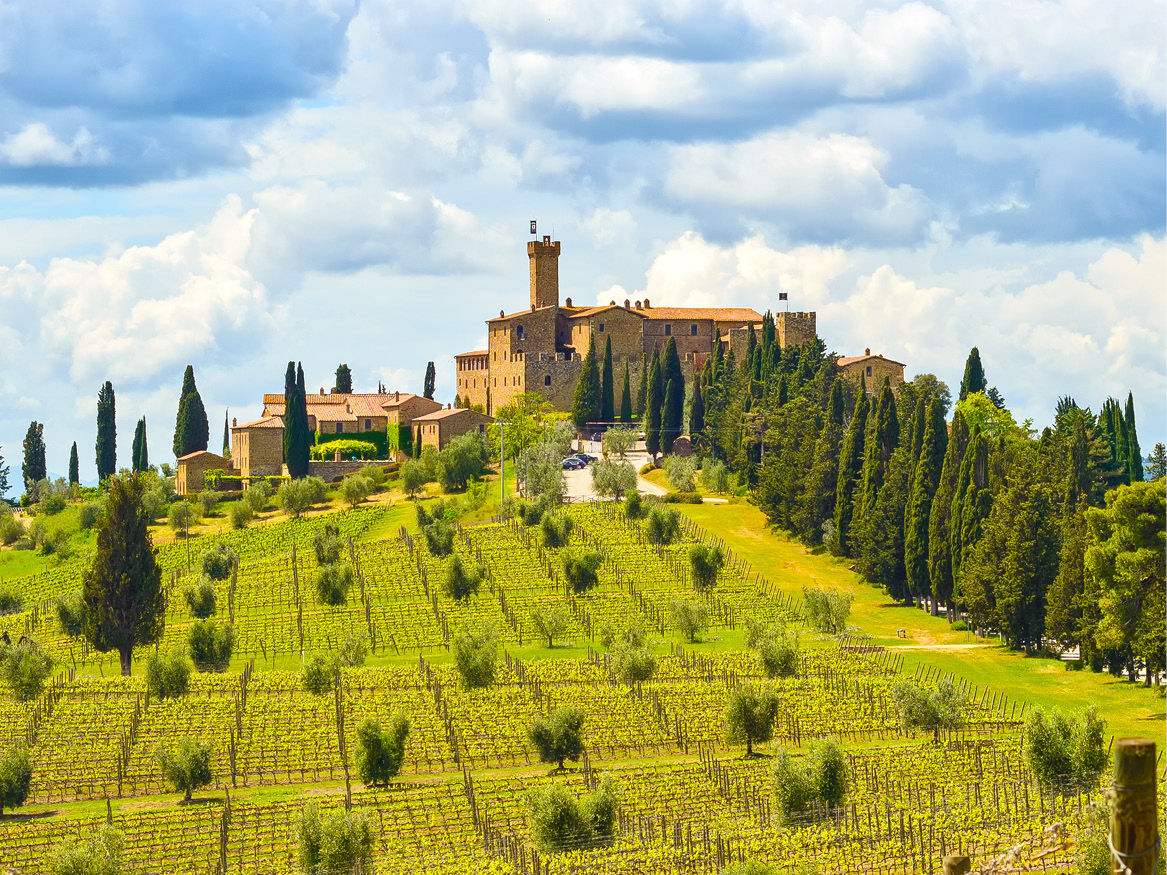 Italian Wines - Our Courses